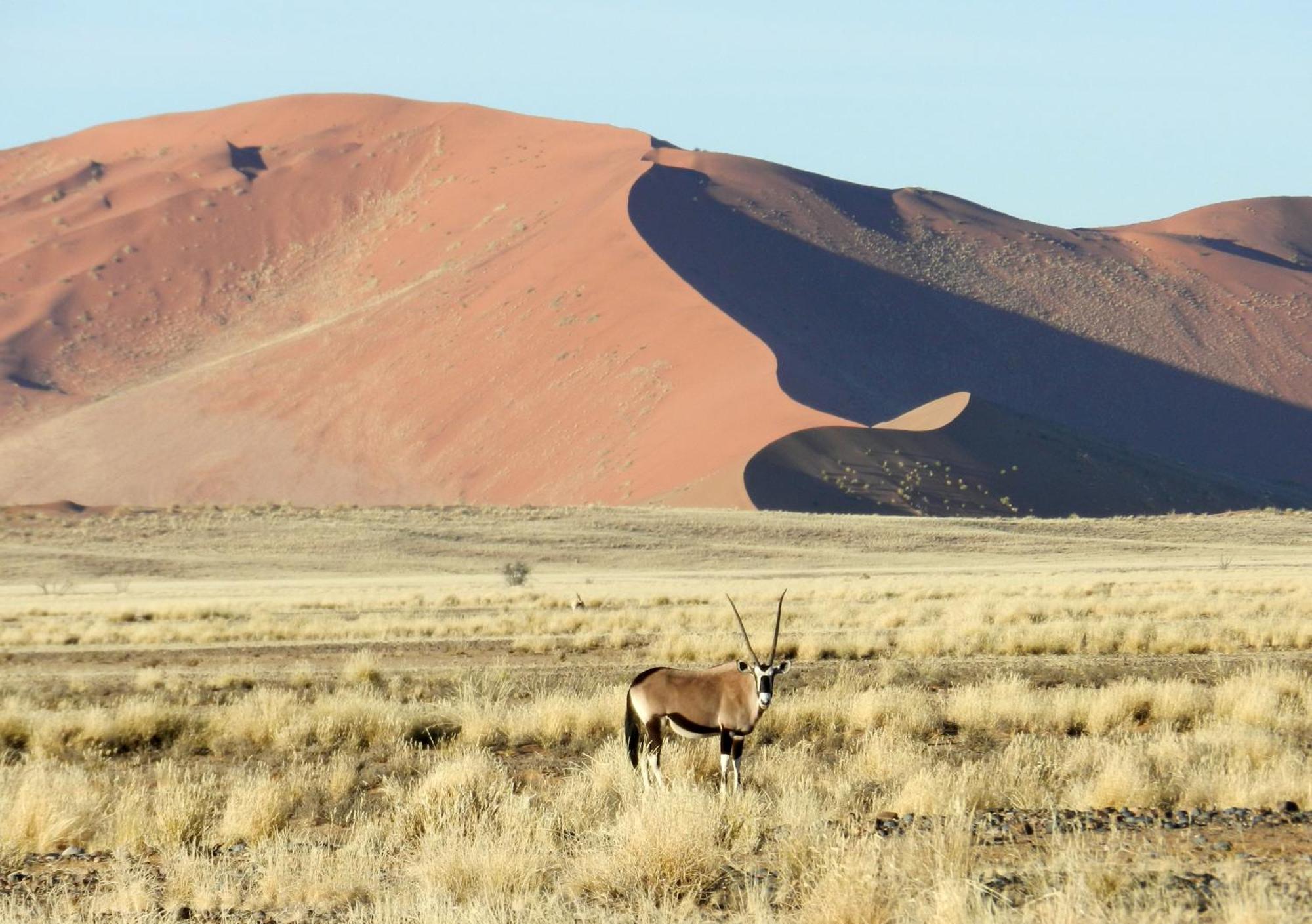 Sossusvlei Lodge Sesriem Ngoại thất bức ảnh